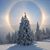 Maryann Mitchell Sikorski's profile image