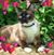 Joy Reinhart's profile image