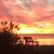 Susan DePaola's profile image