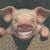 Pamela Wins's profile image