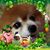 Linda Okeeffe's profile image