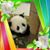 Mona Hill's profile image