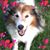 Cindy Klemm's profile image