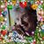 Susan Vorobel's profile image