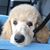 Fiona Ellwood's profile image