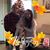 Samantha Allen's profile image