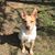Rita Joy Bak Thompson's profile image