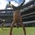 Joe Nardo's profile image