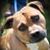 Andy Whiteman's profile image