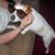Deborah Marchewka's profile image