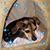 Debby King's profile image