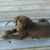 Gail Bridgeman Mauldin's profile image
