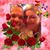 Kimberly Groves Malotte's profile image