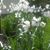 Patricia Knotts's profile image