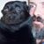 Justin Sosnovski's profile image