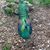 Aloha Aina Reilly's profile image
