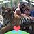 Donna Ward's profile image