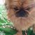 Lisa K. Mallard's profile image