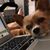 Lori Foltz-Rea's profile image