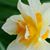 Debbie Gottschalk Hooper's profile image