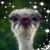 Julia Smith's profile image
