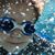 Karole Mingarelli's profile image
