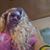 Valle Crowell's profile image