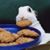 Liz Akashic's profile image