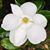 Karen Keane Brown's profile image
