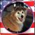 Beth Bedwell Timms's profile image