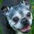Heather Ladue's profile image