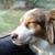 Marisha Munroe's profile image