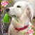 Deb Manion's profile image