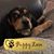 Marcy Postma's profile image