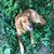 David Hartung's profile image