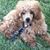 Lisa Plass's profile image
