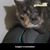 Brandie Garling's profile image