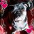 Teresa Hunter's profile image