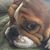 Joel Parker's profile image
