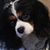 Bruce Mayes's profile image