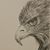 Becky Motzko's profile image