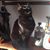 Jeannie Wilson Hudnall's profile image