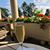 Anne Reynolds Colucci's profile image