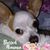 Karen Morris's profile image