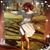 Mikki Brassard's profile image