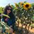 Angela Fayer's profile image