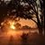 Susan Gilliard Heard's profile image