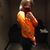 Gina Scheibner's profile image