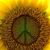 Charlotte Leckie's profile image