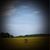 Angie Blevins's profile image